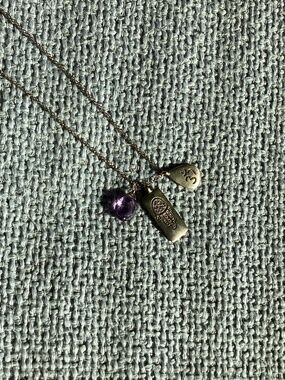 Satya Amethyst Om Hamsa Necklace